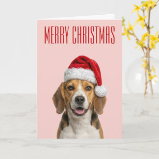 Beagle-Weihnachtsfreude Karte