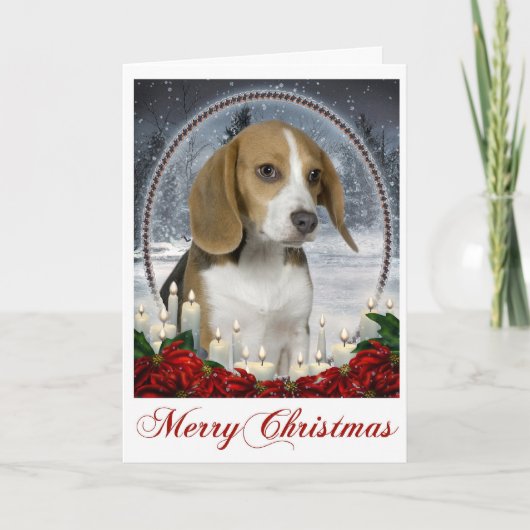 Beagle-Weihnachtskarte Feiertagskarte (Vorderseite)