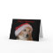 Beagle Weihnachtskarte (Weihnachtsmann)