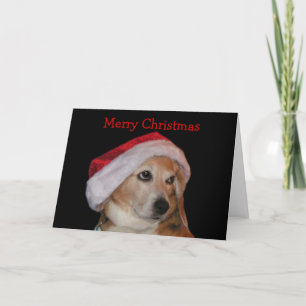 Beagle Weihnachtskarte (Weihnachtsmann) Feiertagskarte