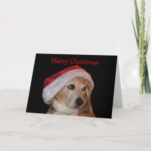 Beagle Weihnachtskarte (Weihnachtsmann) Feiertagskarte (Vorderseite)