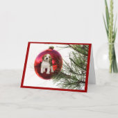 Beagle Weihnachtskartenball Feiertagskarte (Vorderseite)