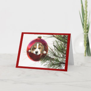 Beagle Weihnachtskartenball Feiertagskarte