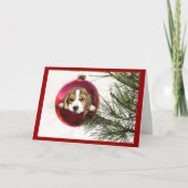 Beagle Weihnachtskartenball Feiertagskarte (Vorderseite)