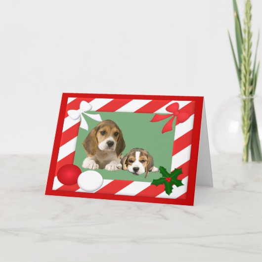 Beagle Weihnachtskartenrahmen Feiertagskarte (Vorderseite)
