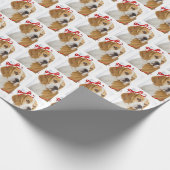 Beagle Weihnachtswackelpapier Geschenkpapier (Ecke)