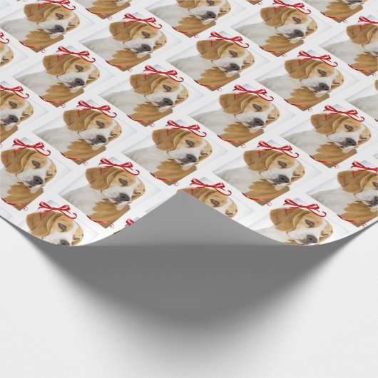 Beagle Weihnachtswackelpapier Geschenkpapier (Ecke)