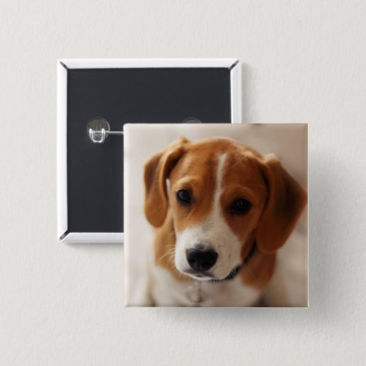 Beagle-Welpe 2 Button (Vorne & Hinten)