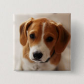 Beagle-Welpe 2 Button (Vorderseite)