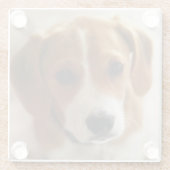 Beagle-Welpe 2 Glasuntersetzer (Rückseite)