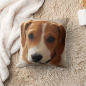 Beagle-Welpe 2 Kissen (Decke)