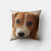 Beagle-Welpe 2 Kissen (Rückseite)