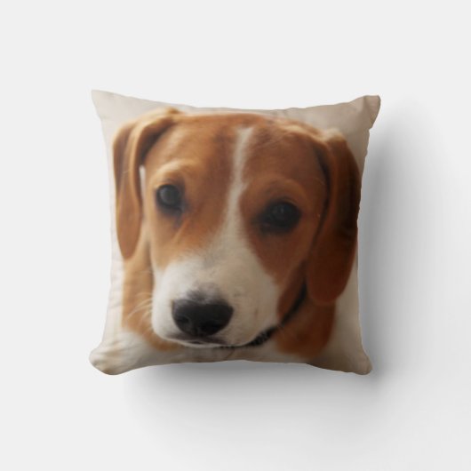 Beagle-Welpe 2 Kissen (Vorderseite)