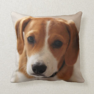 Beagle-Welpe 2 Kissen