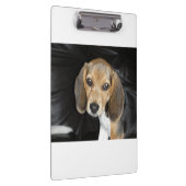 Beagle Welpe 2 Klemmbrett (Rechts)
