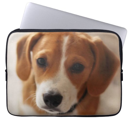 Beagle-Welpe 2 Laptopschutzhülle (Vorderseite)