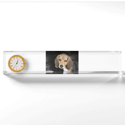 Beagle Welpe 2 Namensplakette (Vorderseite)