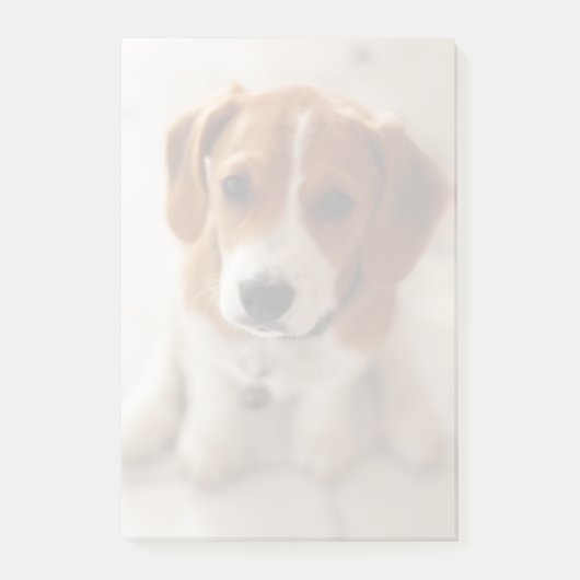 Beagle Welpe 2 Post-it Klebezettel (Vorderseite)