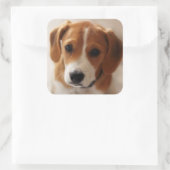 Beagle-Welpe 2 Quadratischer Aufkleber (Tasche)