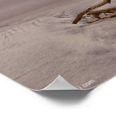 Beagle Welpe auf dem Strandposter Poster (Ecke)