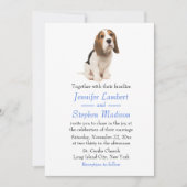 Beagle Welpe Dog Blue Wedding Einladung (Vorderseite)