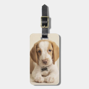 Beagle-Welpe Gepäckanhänger