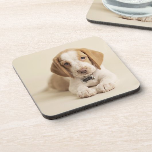 Beagle-Welpe Getränkeuntersetzer (Linke Seite)