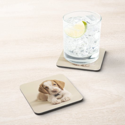 Beagle-Welpe Getränkeuntersetzer (Rechte Seite)
