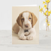Beagle-Welpe Karte (Gelbe Blume)