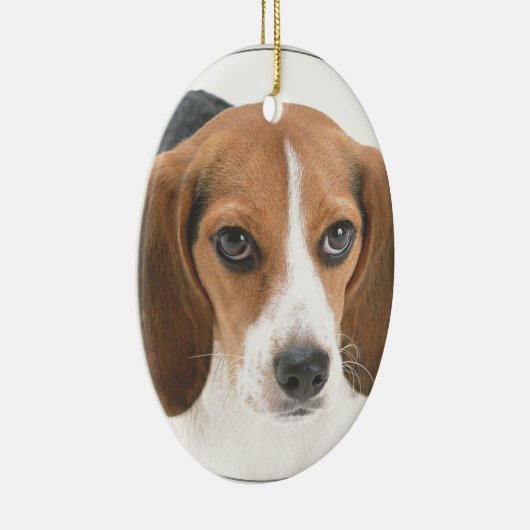 "Beagle-Welpe " Keramik Ornament (Rechts)