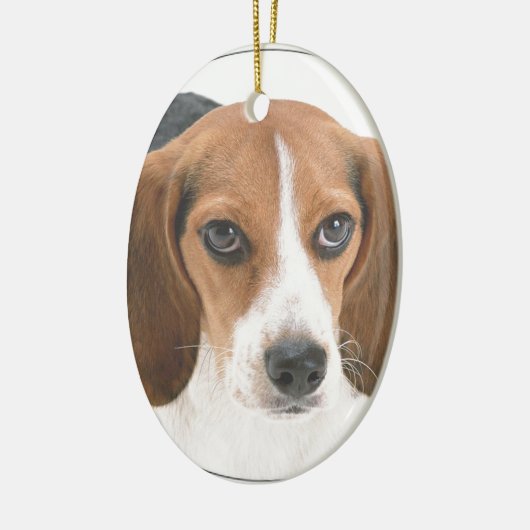 "Beagle-Welpe " Keramik Ornament (Links)