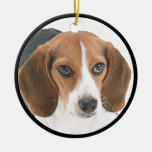 Beagle-Welpe Keramikornament