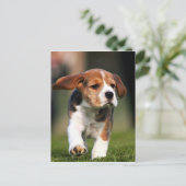 Beagle Welpe Liebe Postkarte (Stehend Vorderseite)