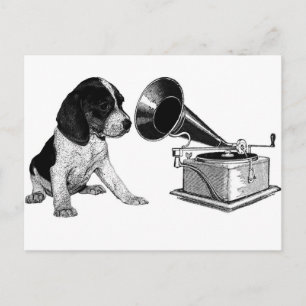Beagle-Welpe mit Grammophon Postkarte