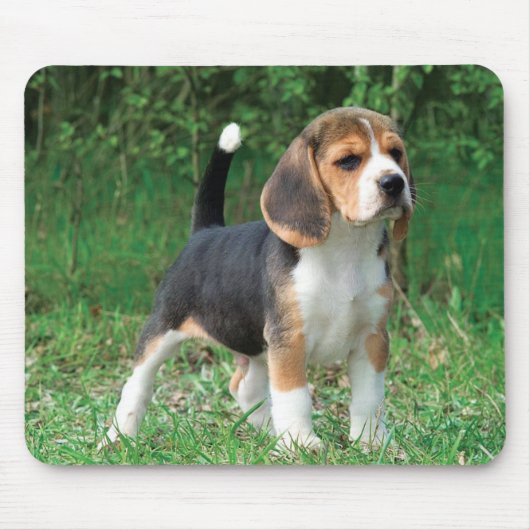 Beagle-Welpe Mousepad (Vorne)