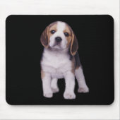 Beagle-Welpe Mousepad (Vorne)