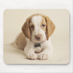 Beagle-Welpe Mousepad