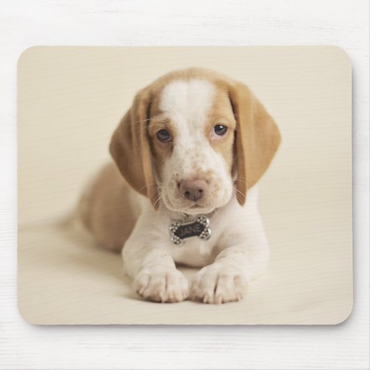Beagle-Welpe Mousepad (Vorne)