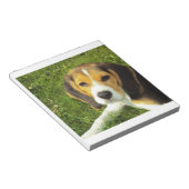 Beagle Welpe Notizblock (angewinkelt)