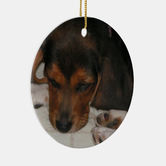 Beagle Welpe Ornament (Rechts)