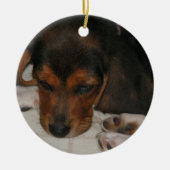 Beagle Welpe Ornament (Vorne)
