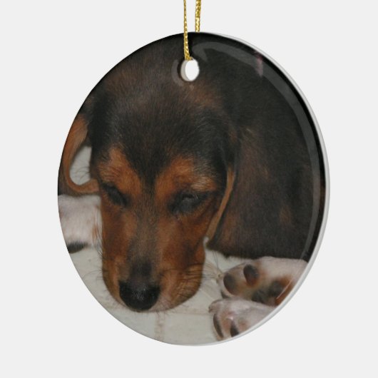 Beagle Welpe Ornament (Links)