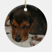 Beagle Welpe Ornament (Hinten)