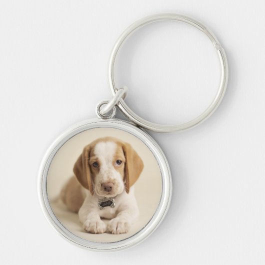 Beagle-Welpe Schlüsselanhänger (Vorne)