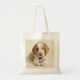 Beagle-Welpe Tragetasche