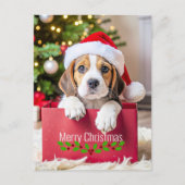 Beagle-Welpe Weihnachtsdesign, Postkarte (Vorderseite)