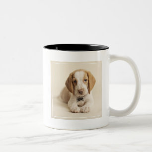 Beagle-Welpe Zweifarbige Tasse