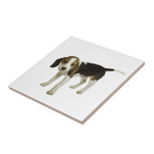 Beagle-Welpen-Hund Fliese (Seite)