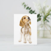 Beagle Welpen Hund Grußkarte Postkarte (Stehend Vorderseite)