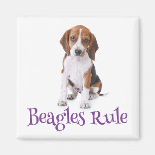 Beagle Welpen Hund Kühlschrankmagnet